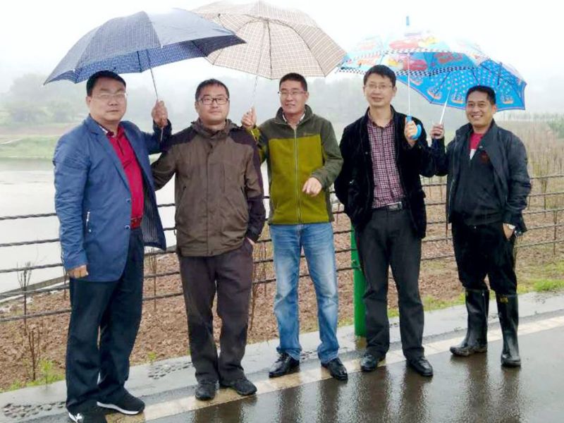 今年会jinnianhui园林绿化维护